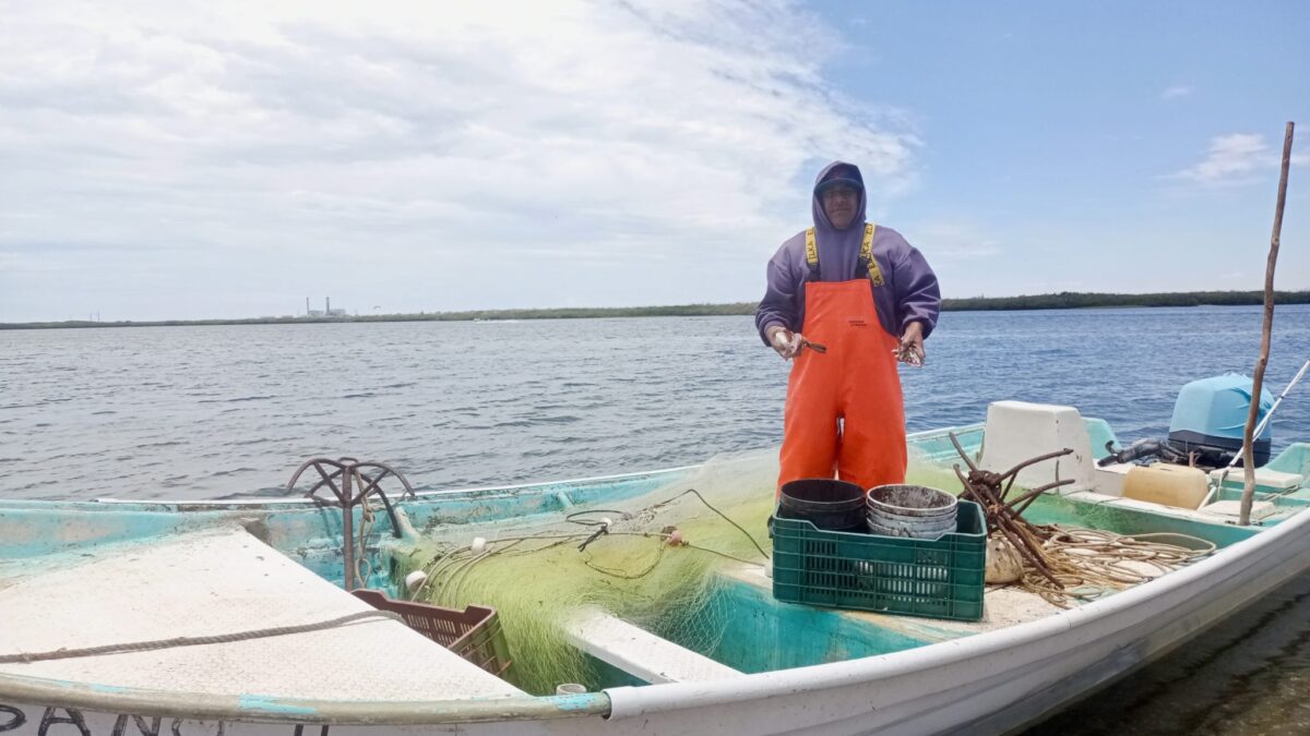 Destaca Gobierno de BCS el esfuerzo de pescadores y acuicultores en el Día Mundial del Pescador