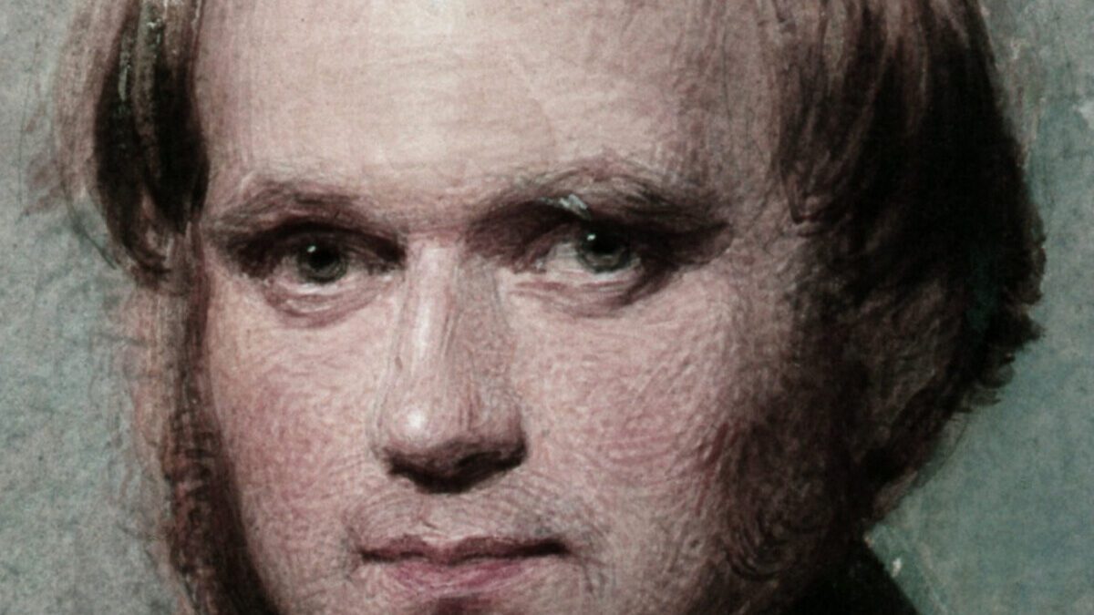 El 1 de agosto de 1828 un capitán inglés se pegó un tiro en Chile. Y gracias a eso Darwin ideó la teoría de la evolución