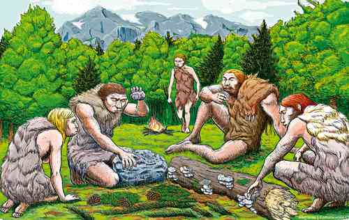 Estudio: las plantas tenían un papel central en la vida de neandertales