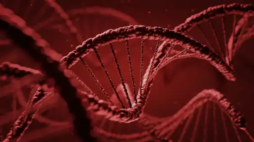 Investigan el genoma y encuentran material genético que podría ser anterior al primer antepasado común de la vida