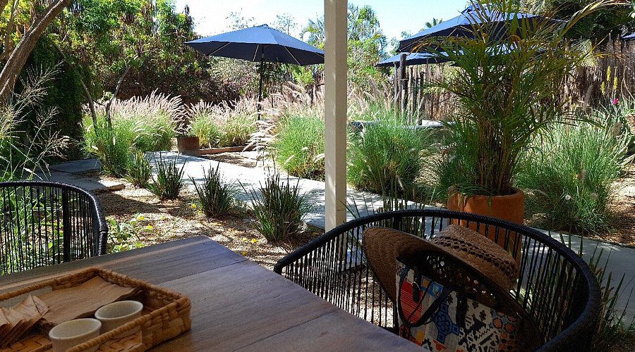 Incluyen a cinco restaurantes de BCS en la Guía México Gastronómico 2026