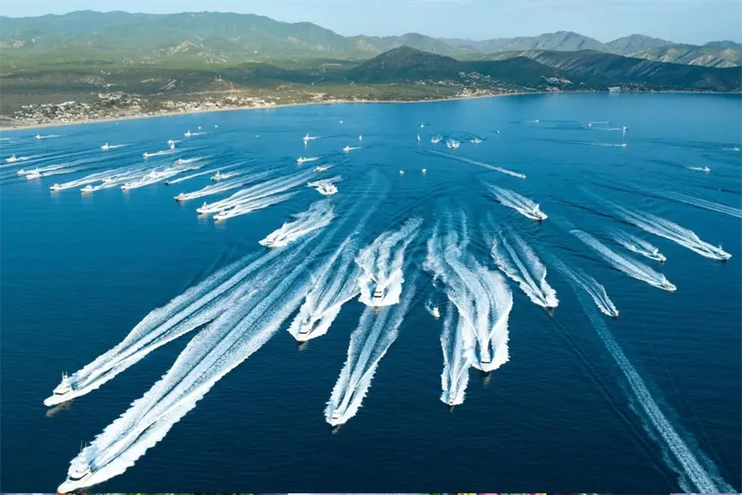 Torneo de pesca en BCS: ofrecerán hasta 20 mil pesos en premios en San Buto