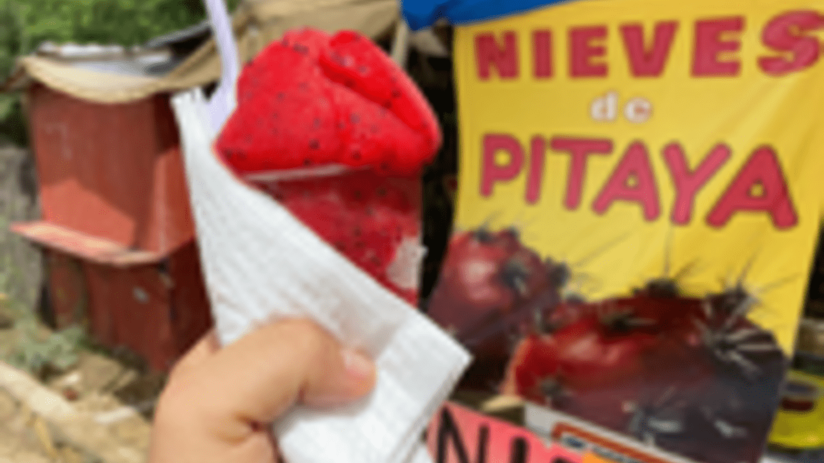 Antecedentes de la Comida Regional Sudcaliforniana