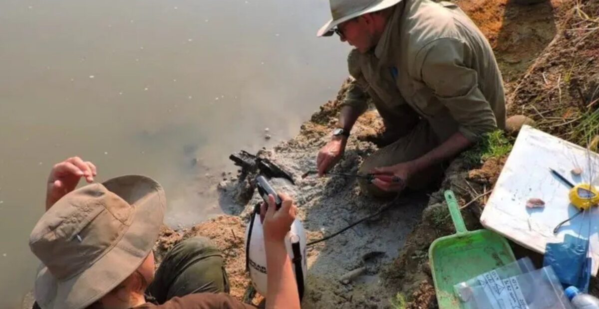 Científicos descubren en África una estructura de madera construida 300 mil años antes del Homo sapiens