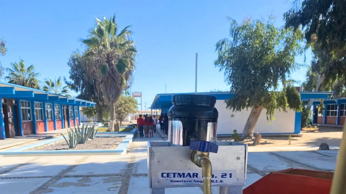 Suspensión de clases en el CETMAR: este fue el verdadero motivo, según la PGJE