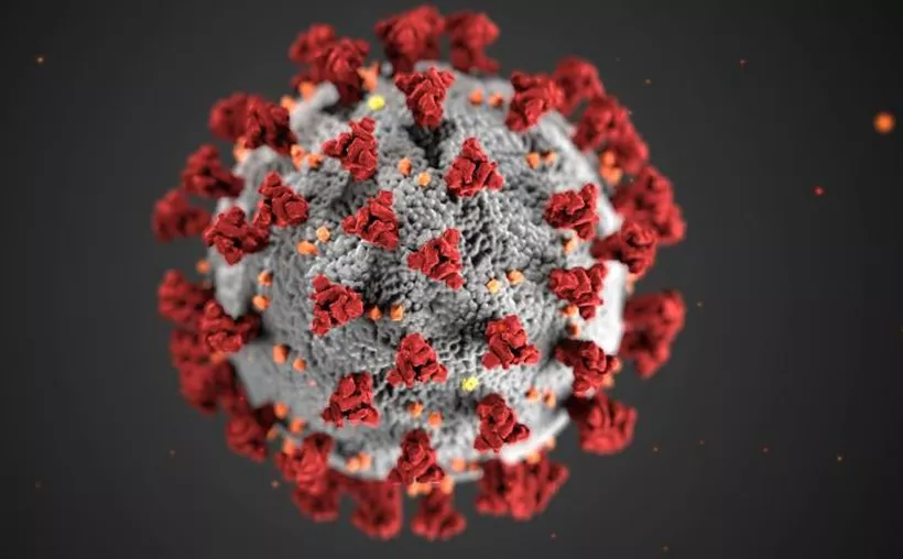 ‘Cigarra’: la nueva variante de COVID-19 que se propaga rápidamente