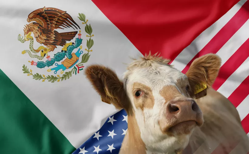 México y Estados Unidos ven cerca la reapertura del comercio ganadero