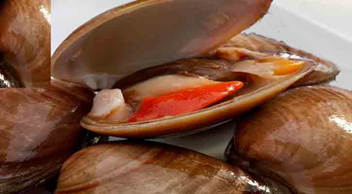 Loreto tuvo que cambiar su comida típica para salvar una peculiar especie marina