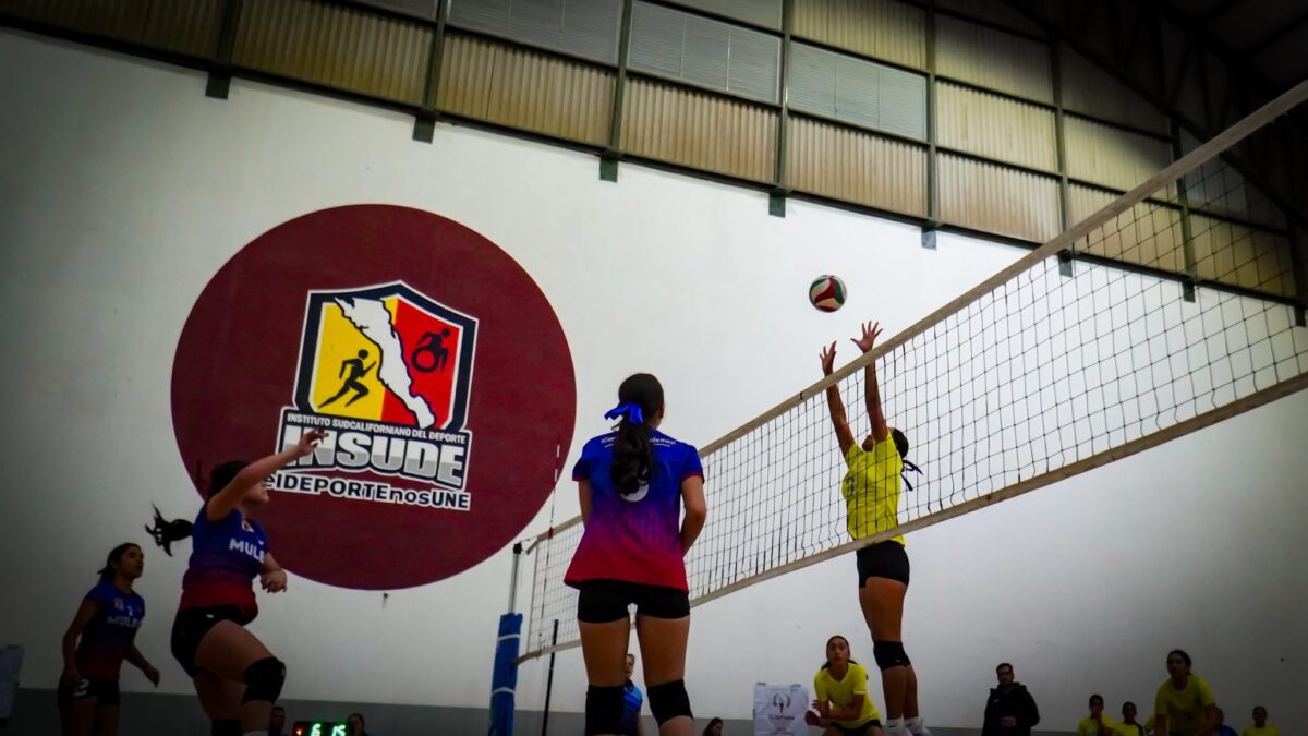 Recibirá BCS a 450 atletas y entrenadores en regional de voleibol de sala