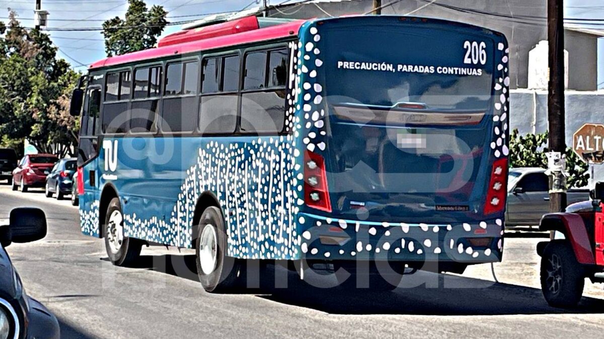 Tiburón Urbano respetará las tarifas preferenciales durante Semana Santa en La Paz
