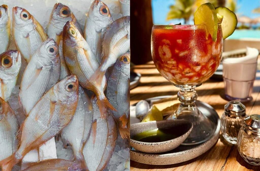 Así puedes identificar mariscos y pescado en mal estado y asegurar la calidad de tu comida durante la Cuaresma, según la Profeco