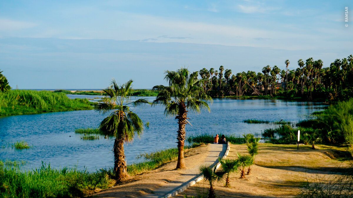 Planean recuperación del Estero Josefino con inversión de casi 100 mdp