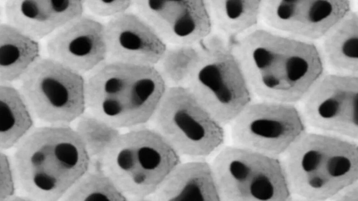 Alemania afirma haber creado un material que desala el agua del mar sin (casi) gastar energía. Y también extrae litio