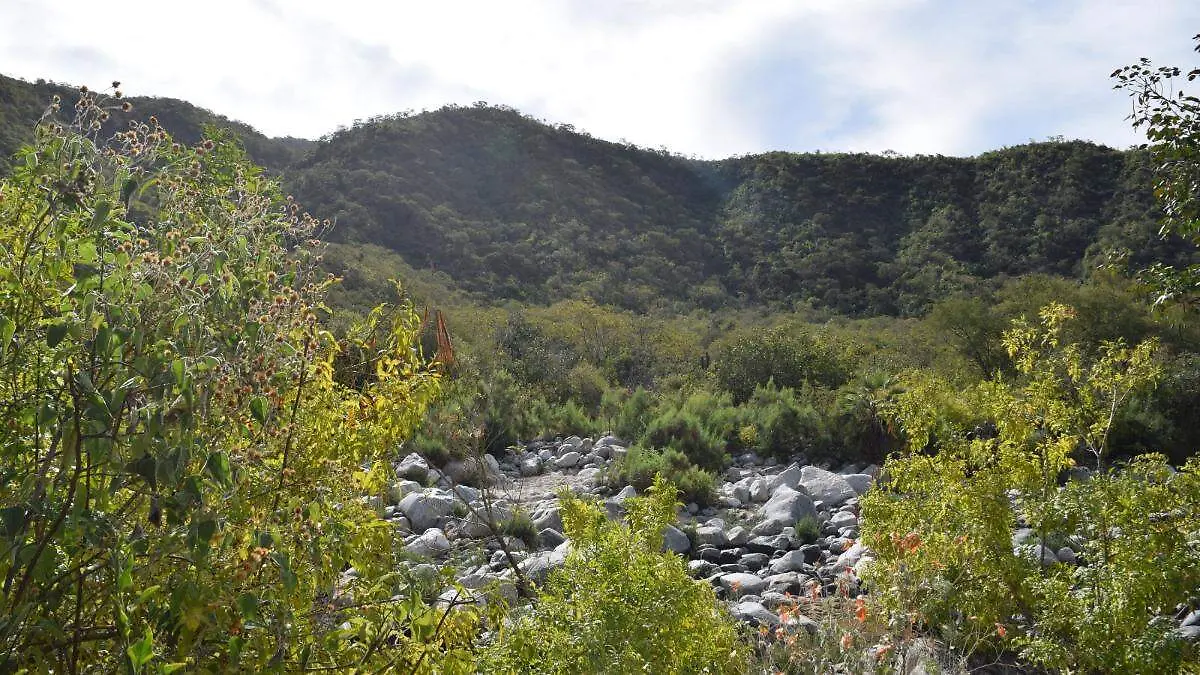 Por riesgos e irregularidades, piden a Semarnat que deseche proyecto Santuario del Tío Checo