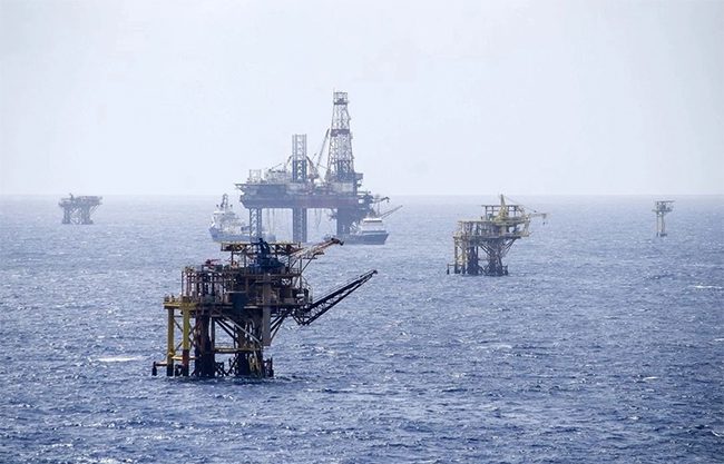 Gobierno de Trump exime a petroleras del Golfo de México de la obligación de proteger a especies en peligro