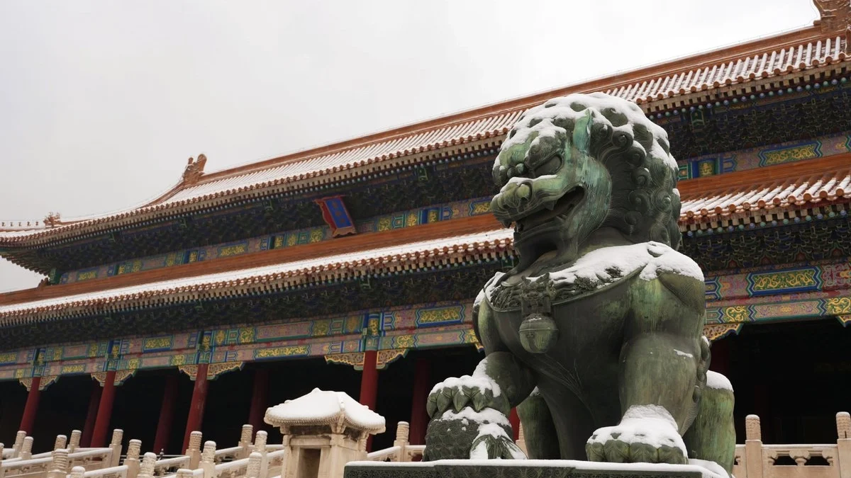 Sistema educativo, pilar para que China sea una potencia en el mundo