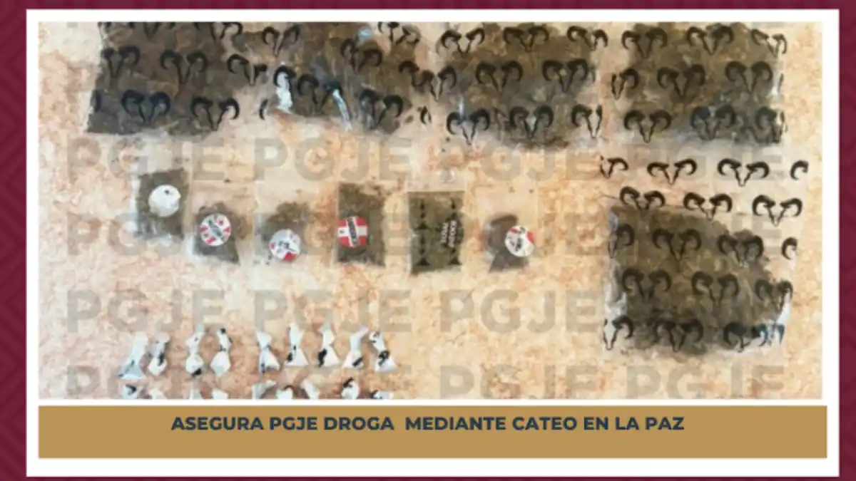 Aseguran más de 400 dosis de droga tras cateo en vivienda de La Paz