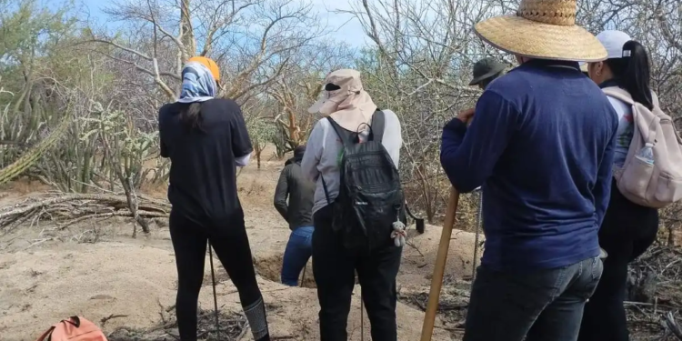 Localizan fosas clandestinas en La Paz, Comondú y Los Cabos