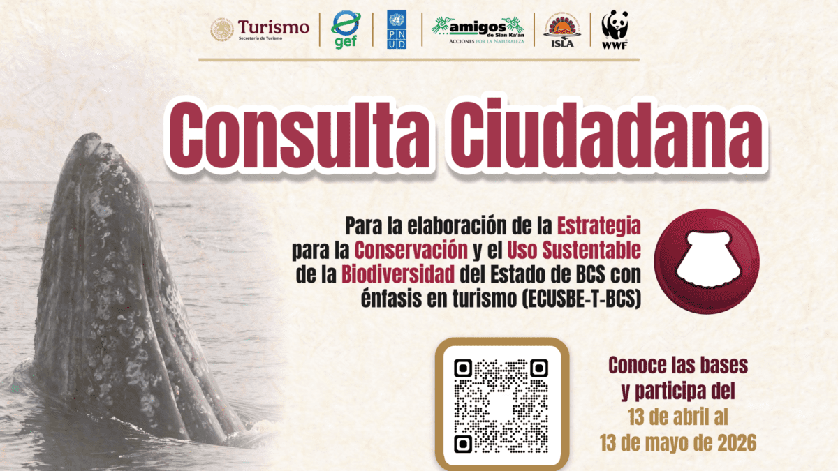 Gobierno de BCS convoca a consulta ciudadana para definir estrategia de conservación de la biodiversidad