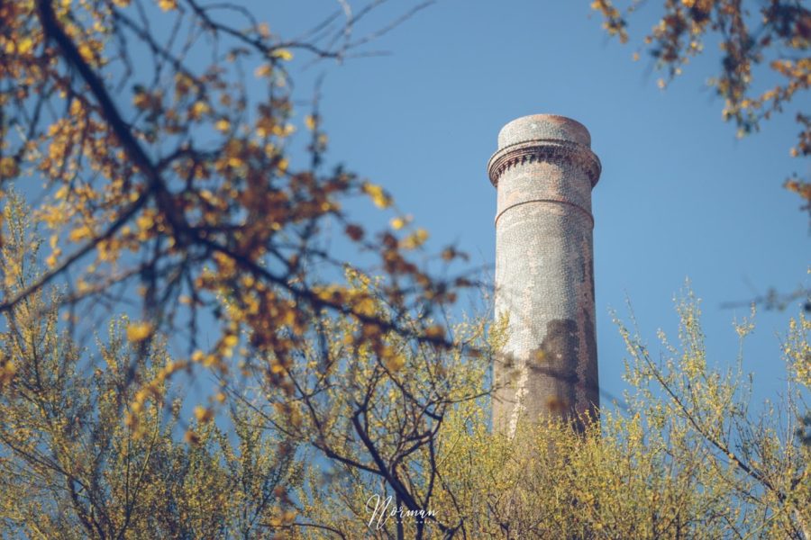 Cinco sitios que te harán ver el desierto con otros ojos en BCS
