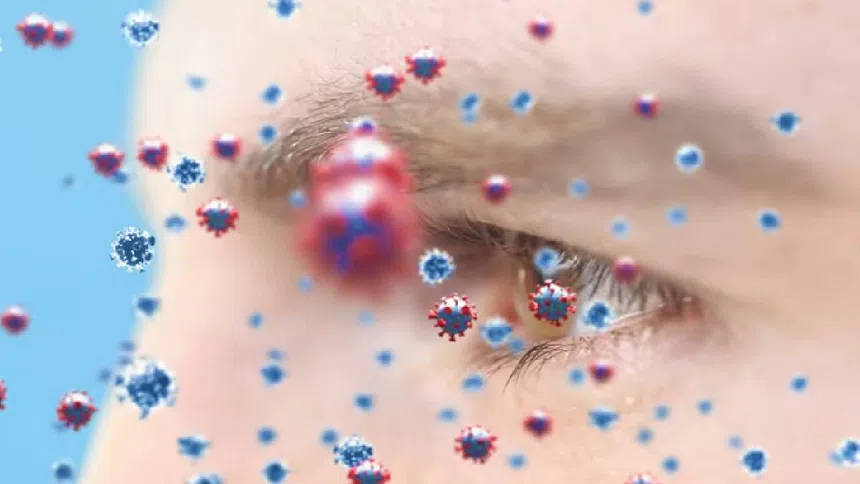 Cuidado con lo que comes ¿Un virus en mariscos puede causar ceguera? Esto se sabe del nodavirus