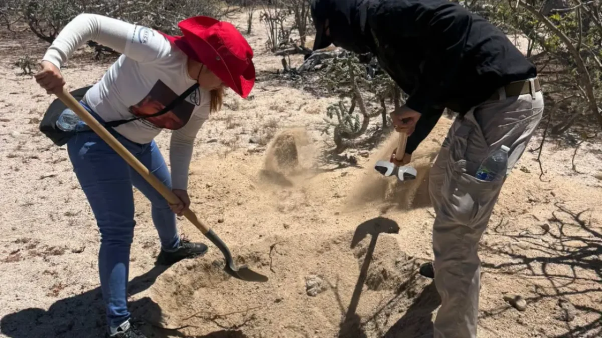 Hallan restos humanos en arroyo El Cajoncito en La Paz durante jornada con madres buscadoras