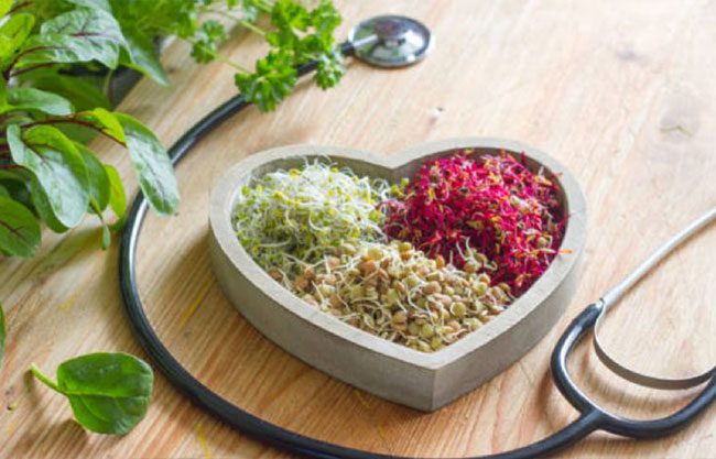 Tres plantas que ayudan a reducir el colesterol de forma natural y sin medicamentos, según expertos en jardinería