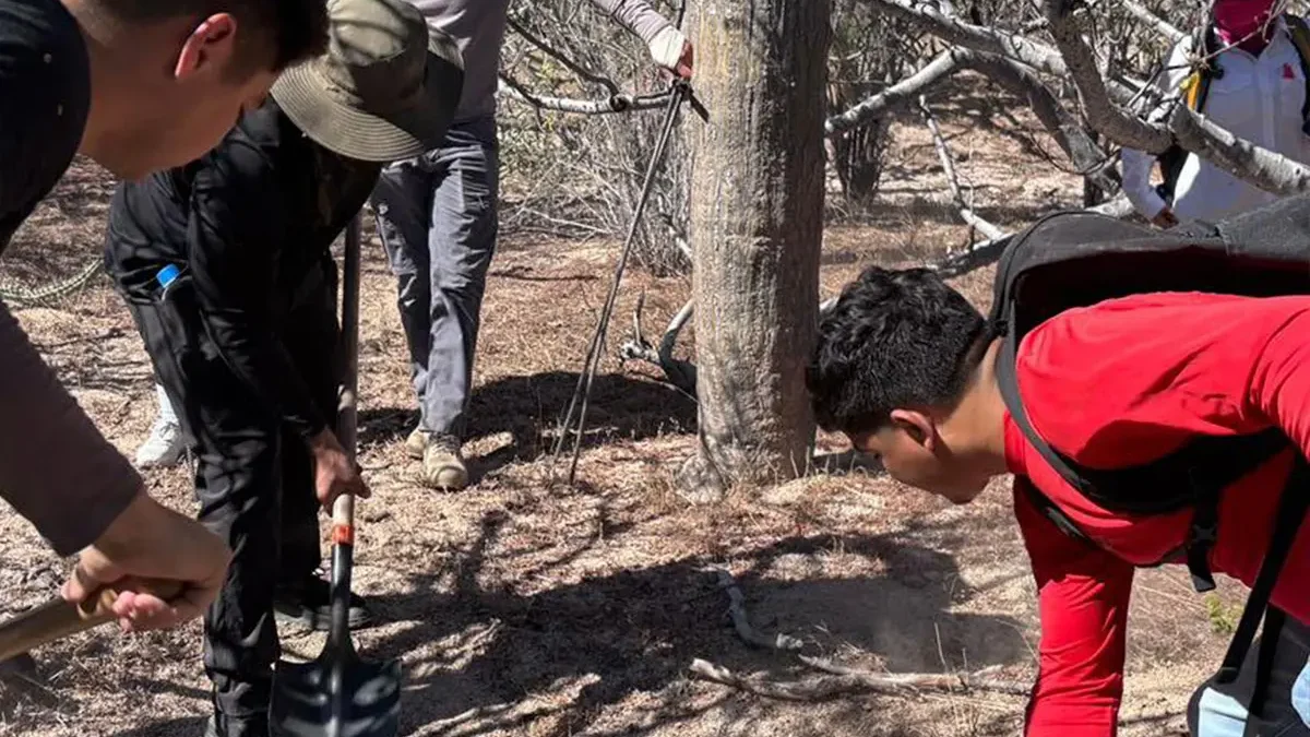 Búsqueda positiva en La Paz: localizan 5 fosas clandestinas en El Cajoncito