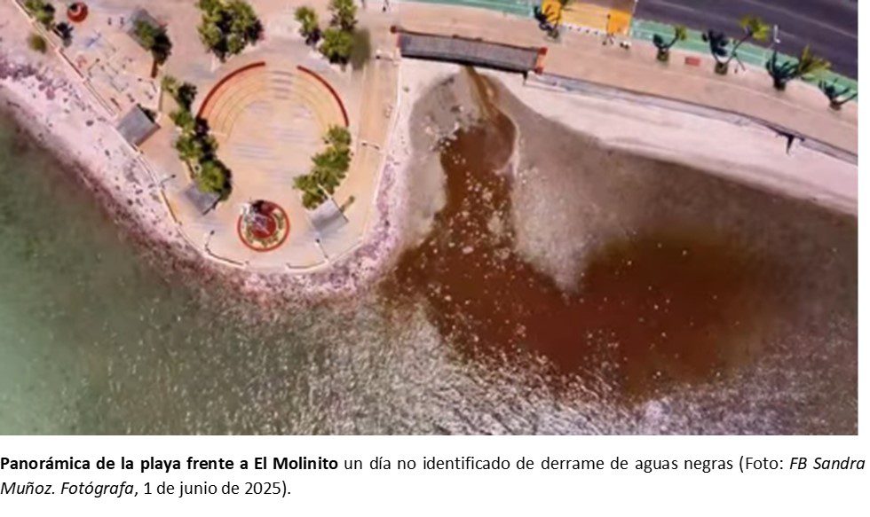 CARCAMO ESTERITO: UN ESTUDIO TÉCNICO CONFIRMA QUE EL DERRAME DE AGUAS NEGRAS ES DE ALTO RIESGO PARA LA SALUD HUMANA EN LA COLONIA COLINA DEL SOL.. FALTA LO QUE FALTA. / Gilberto Piñeda Bañuelos/Brigada Ricardo Flores Magón