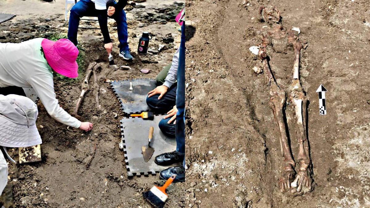 INAH confirmó entierro prehispánico tras denuncia por restos óseos en playa de La Paz