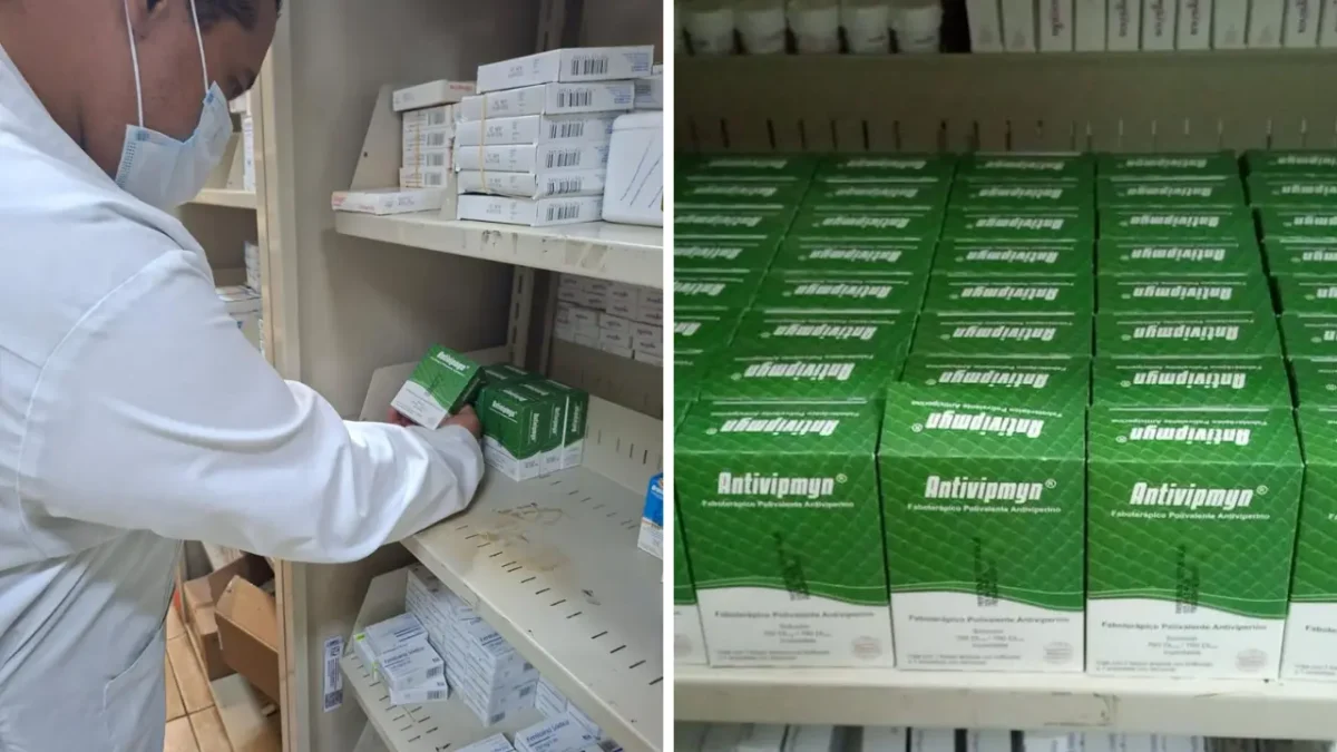 Salud BCS desmiente rumores: hospitales sí cuentan con antídotos contra mordeduras de víbora