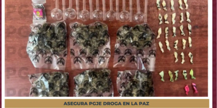 Asegura la PGJE drogas en camino vecinal de La Paz