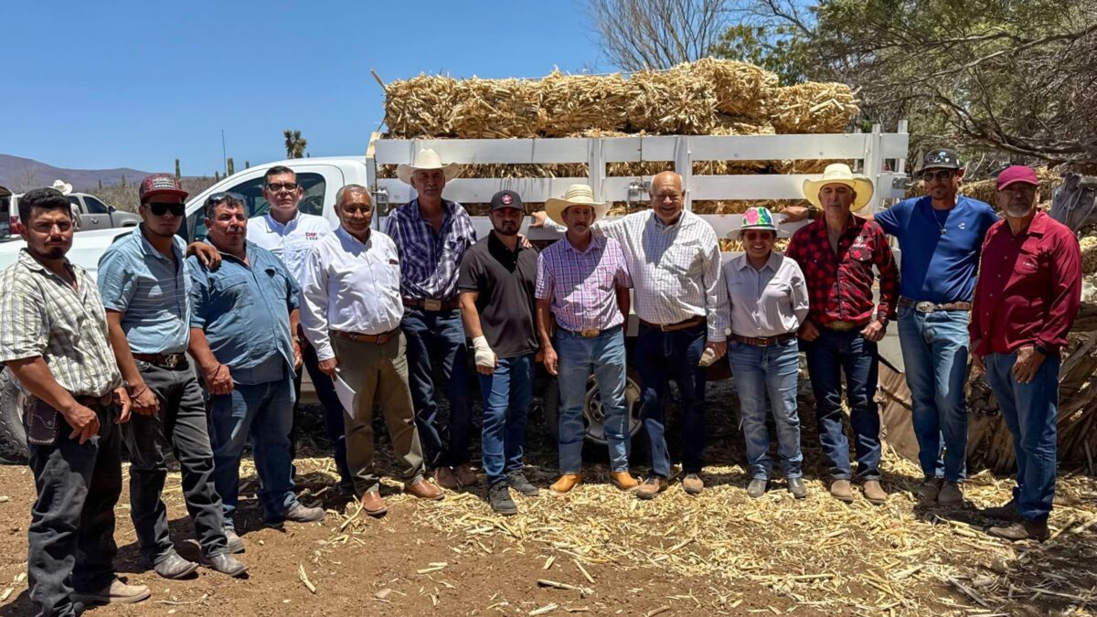 SEPADA entrega forraje y apoyos productivos a familias ganaderas de Mulegé