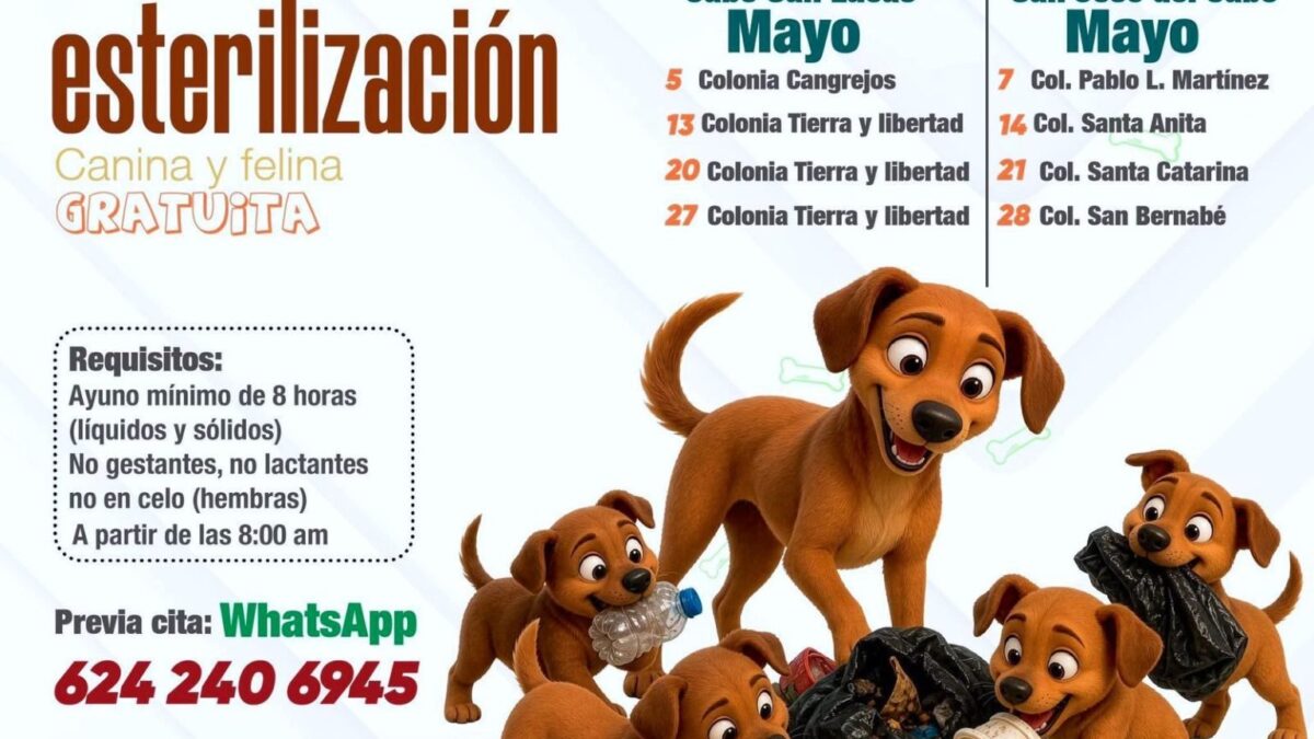 Gobierno de Los Cabos anuncia lugares y fechas del calendario de mayo para el bienestar animal