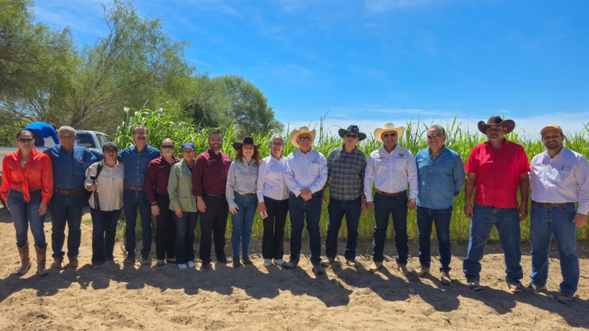 Instituciones de BCS impulsan acciones para fortalecer comunidades rurales de Comondú