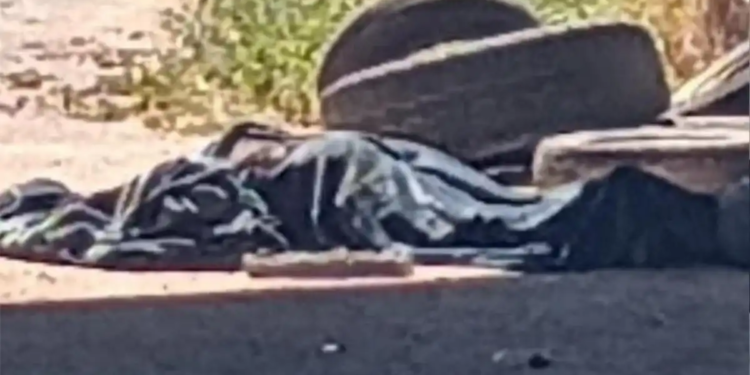 Hallan cuerpo de un varón bajo puente en San Pedro