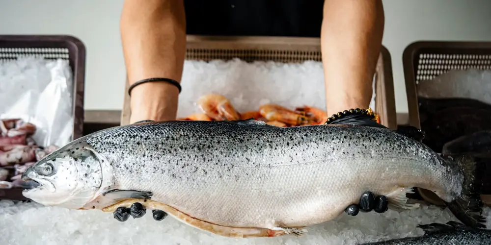 ¿Qué pescados son más sanos para comer?