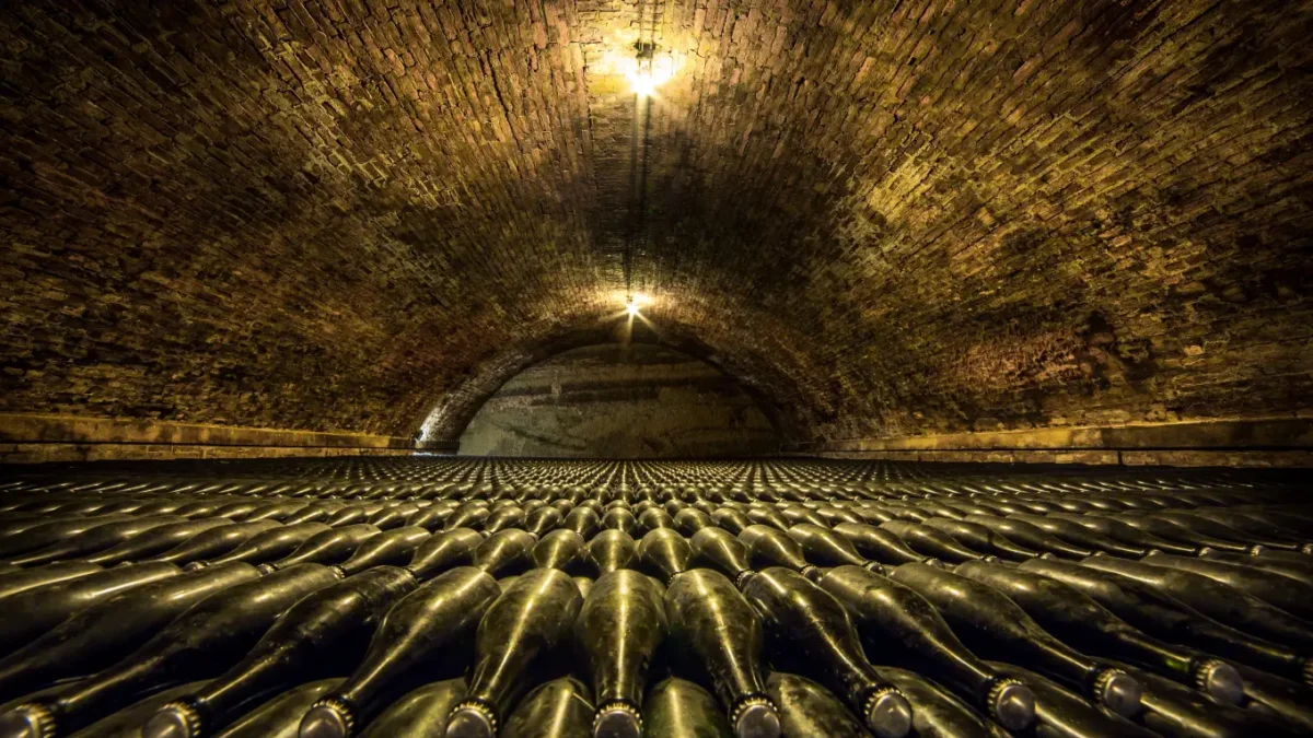 El lujo de esperar: Vinos que pasan décadas en silencio antes de llegar a la copa