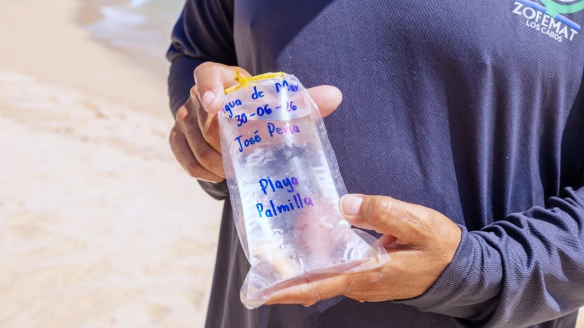 Realiza Zofemat Los Cabos nuevo monitoreo de la calidad del agua en 25 playas certificadas