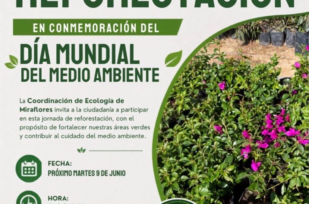 Invitan a jornada de reforestación en Miraflores por el Día Mundial del Medio Ambiente