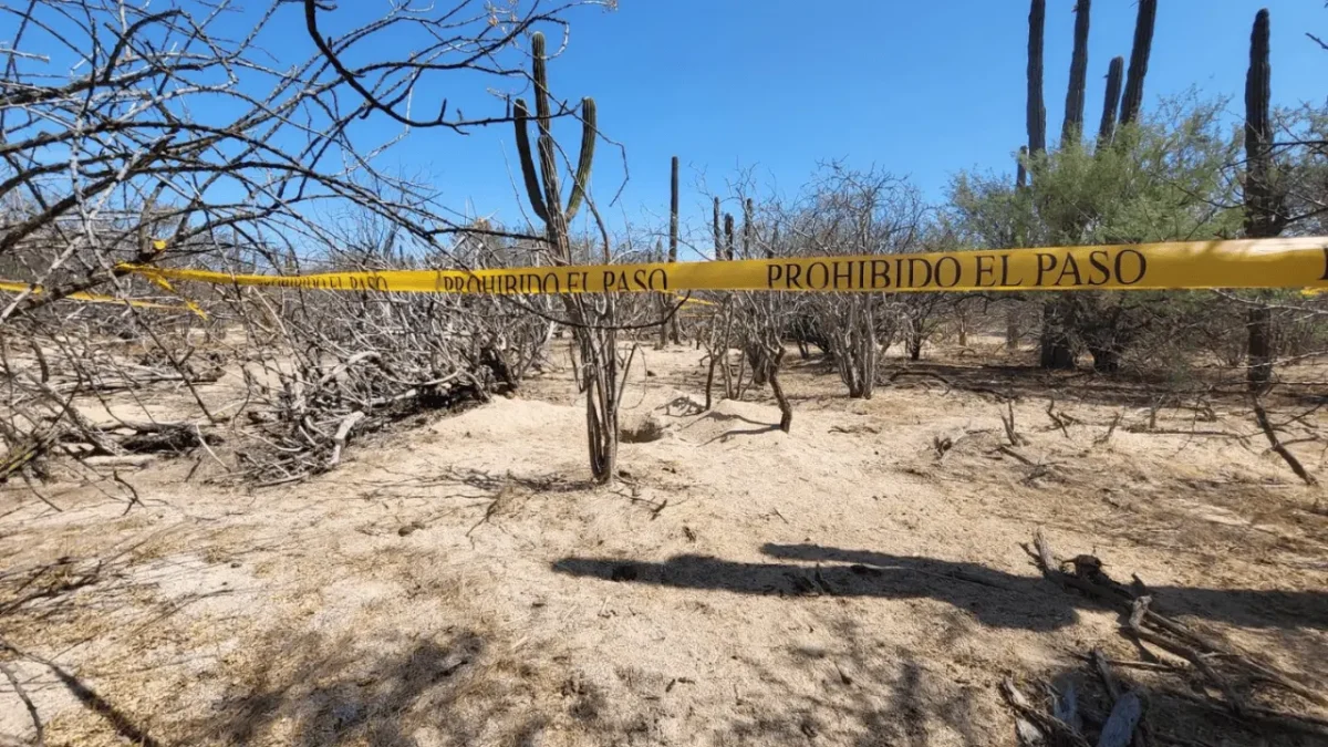 Encuentras tres fosas clandestinas más en el arrollo El Cajoncito en La Paz