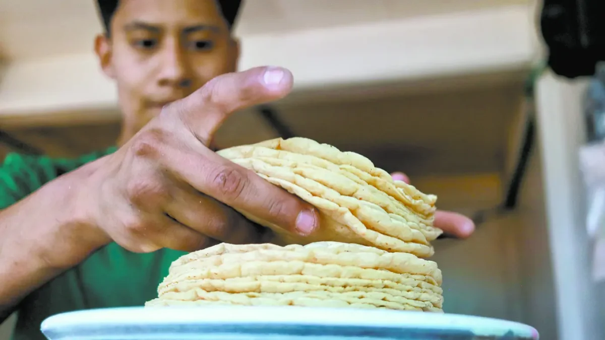 Tortilla de maíz nativo o convencional: ¿cómo reconocer una buena tortilla y qué cambia al comerlas?