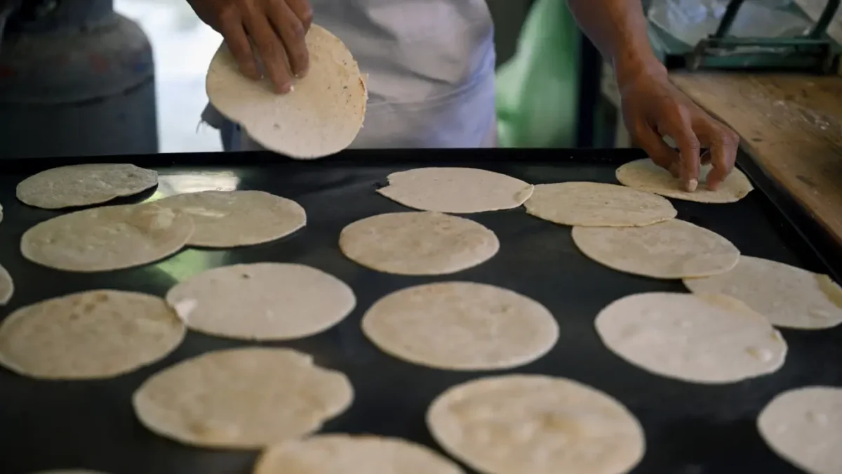 En México cada persona come 66 kilos de tortilla al año