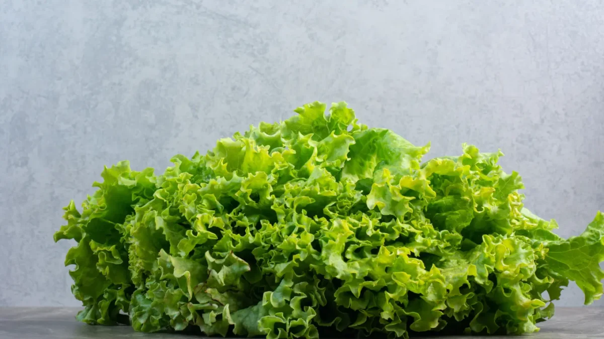 ¿Cómo desinfectar la lechuga de forma segura y evitar enfermedades?