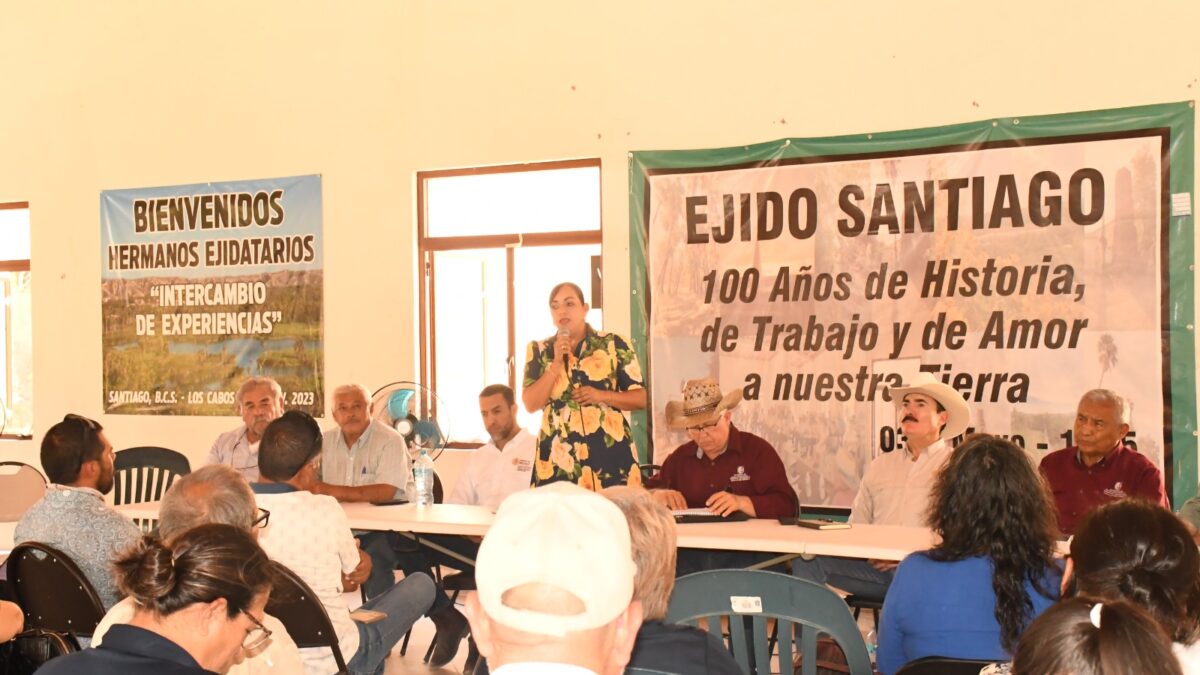 SEPADA respaldará a productores de Santiago ante afectaciones en la cosecha de mango
