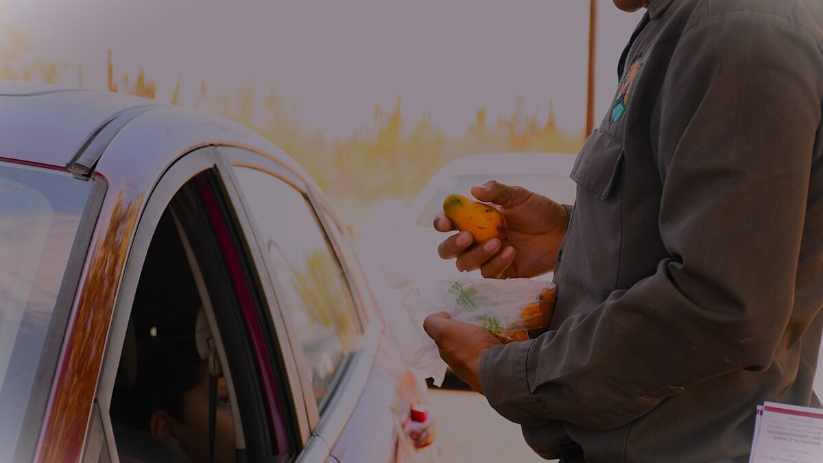 Gobierno de BCS trabaja en acciones para salvaguardar la sanidad vegetal