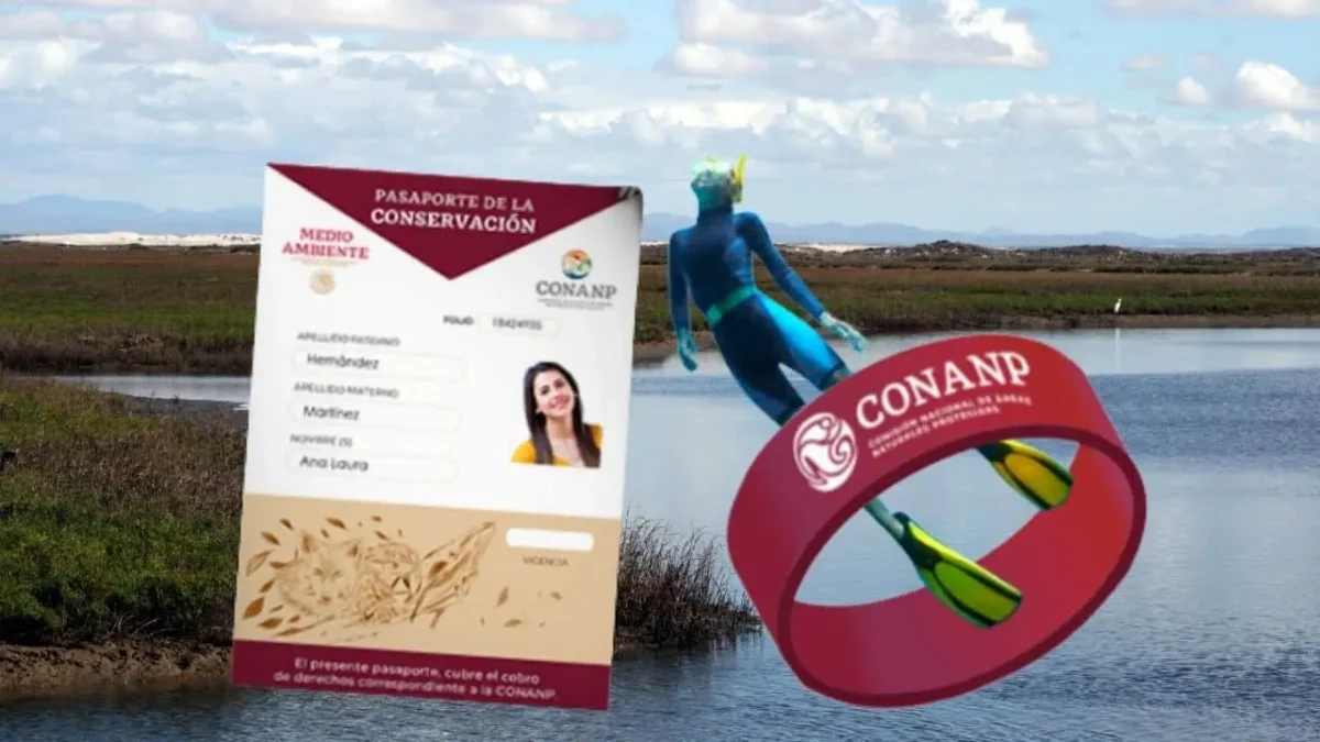 Áreas naturales protegidas en BCS: adquiere tu pasaporte de la conservación para visitarlas