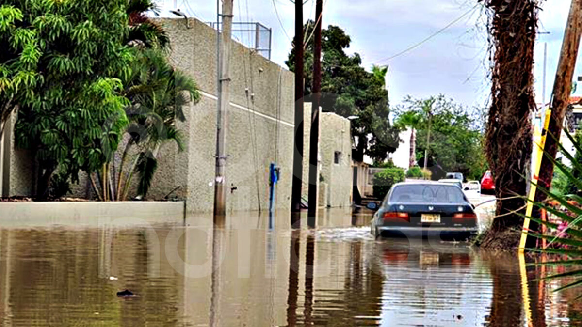 BCS tiene 27 puntos críticos de inundación; 12 en Los Cabos y 10 en La Paz: Protección Civil