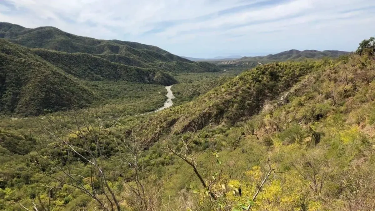 Invitan al primer Festival por la Sierra de La Laguna en Cabo San Lucas