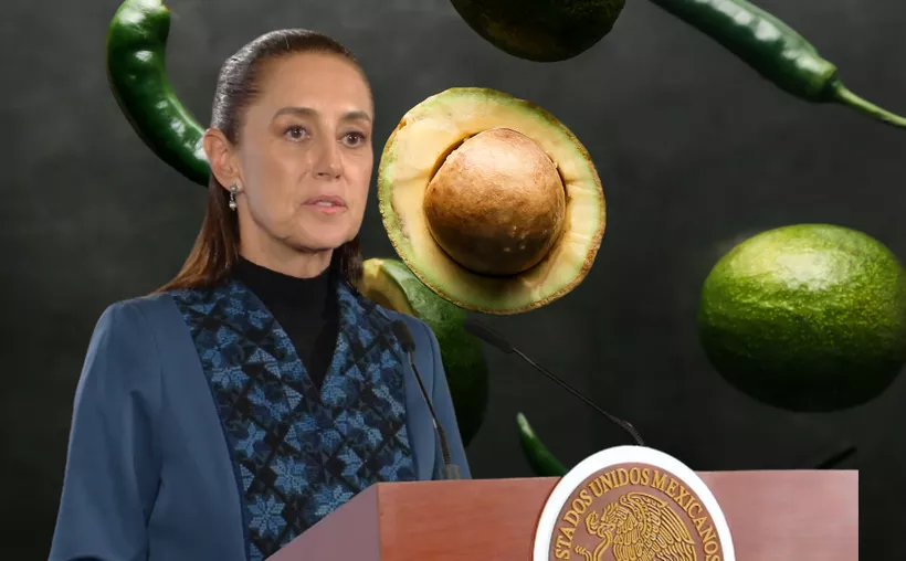 Sheinbaum confirma amenazas contra inspectores de aguacate y chile
